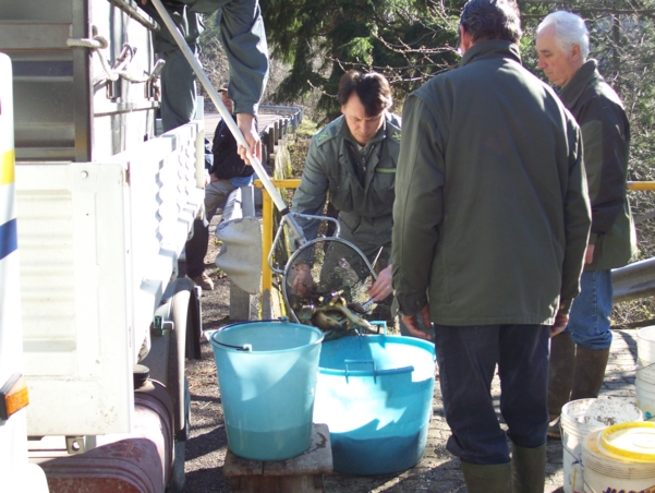  Image name: Pesca08.jpg 
 width: 601 pixel 
 height: 452 pixel 
 Size: 235593 bytes 
 Click to enlarge 