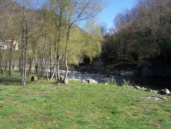  Image name: Pesca101.jpg 
 width: 601 pixel 
 height: 452 pixel 
 Size: 310266 bytes 
 Click to enlarge 