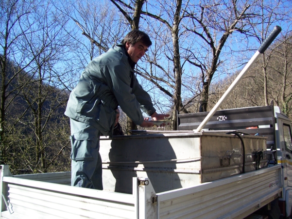  Image name: Pesca12.jpg 
 width: 601 pixel 
 height: 452 pixel 
 Size: 308161 bytes 
 Click to enlarge 