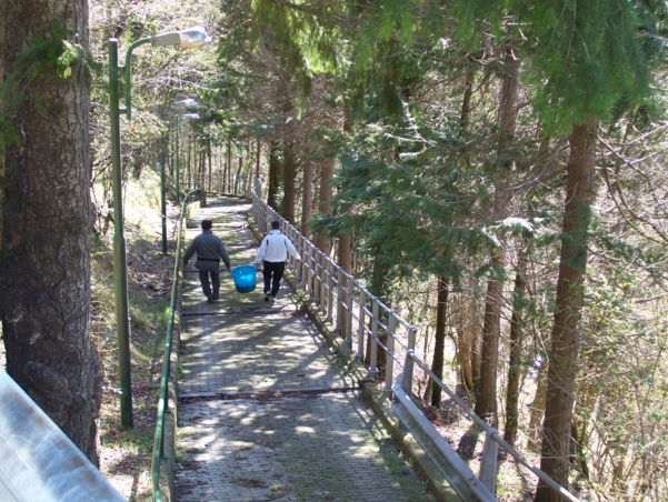  Image name: Pesca17.jpg 
 width: 601 pixel 
 height: 452 pixel 
 Size: 327846 bytes 
 Click to enlarge 