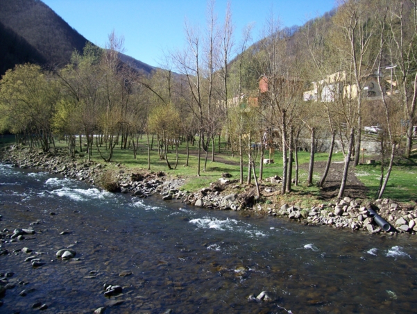  Image name: Pesca25.jpg 
 width: 601 pixel 
 height: 452 pixel 
 Size: 295426 bytes 
 Click to enlarge 