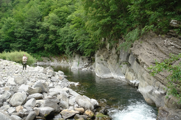  Image name: Pesca72.jpg 
 width: 601 pixel 
 height: 400 pixel 
 Size: 265037 bytes 
 Click to enlarge 