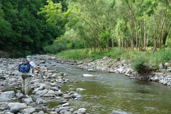  Image name: Pesca74.jpg 
 width: 601 pixel 
 height: 400 pixel 
 Size: 274040 bytes 
 Click to enlarge 