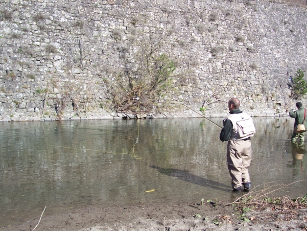  Image name: Pesca89.jpg 
 width: 601 pixel 
 height: 452 pixel 
 Size: 313005 bytes 
 Click to enlarge 