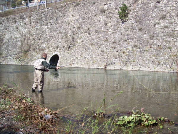  Image name: Pesca91.jpg 
 width: 601 pixel 
 height: 452 pixel 
 Size: 326020 bytes 
 Click to enlarge 