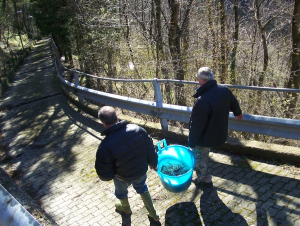  Image name: Pesca06.jpg 
 width: 601 pixel 
 height: 452 pixel 
 Size: 316031 bytes 
 Click to enlarge 