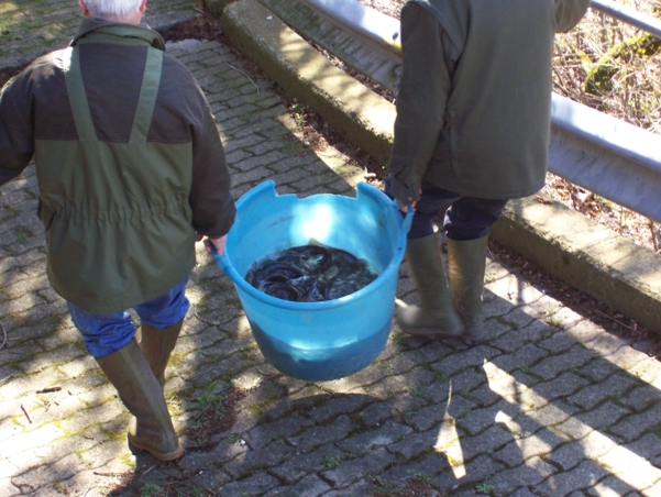  Image name: Pesca10.jpg 
 width: 601 pixel 
 height: 452 pixel 
 Size: 249891 bytes 
 Click to enlarge 