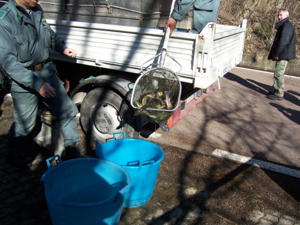  Image name: Pesca13.jpg 
 width: 601 pixel 
 height: 452 pixel 
 Size: 262267 bytes 
 Click to enlarge 