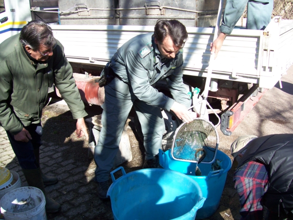  Image name: Pesca14.jpg 
 width: 601 pixel 
 height: 452 pixel 
 Size: 258785 bytes 
 Click to enlarge 