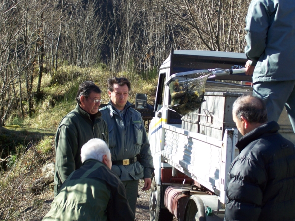  Image name: Pesca20.jpg 
 width: 601 pixel 
 height: 452 pixel 
 Size: 298259 bytes 
 Click to enlarge 