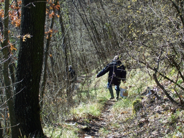  Image name: Pesca21.jpg 
 width: 601 pixel 
 height: 452 pixel 
 Size: 366457 bytes 
 Click to enlarge 