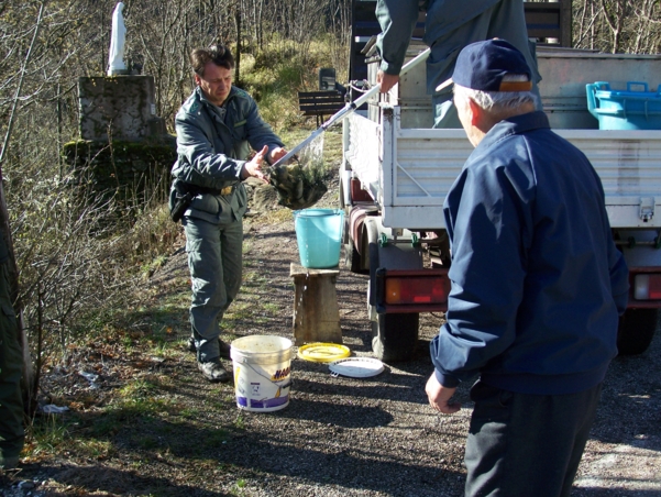  Image name: Pesca23.jpg 
 width: 601 pixel 
 height: 452 pixel 
 Size: 301208 bytes 
 Click to enlarge 