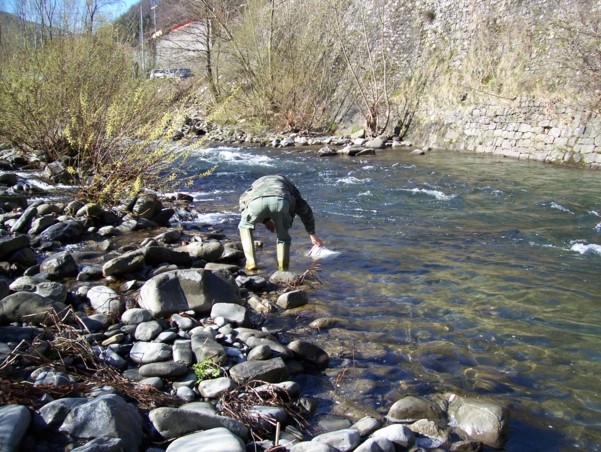  Image name: Pesca28.jpg 
 width: 601 pixel 
 height: 452 pixel 
 Size: 328114 bytes 
 Click to enlarge 