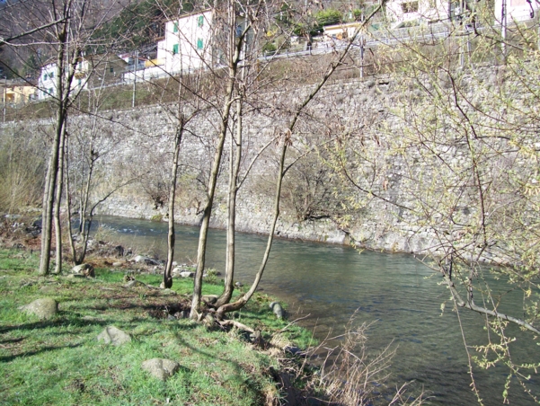  Image name: Pesca29.jpg 
 width: 601 pixel 
 height: 452 pixel 
 Size: 350582 bytes 
 Click to enlarge 