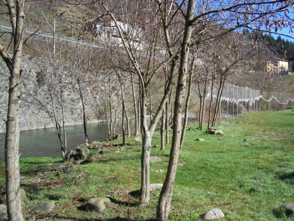  Image name: Pesca30.jpg 
 width: 601 pixel 
 height: 452 pixel 
 Size: 347148 bytes 
 Click to enlarge 