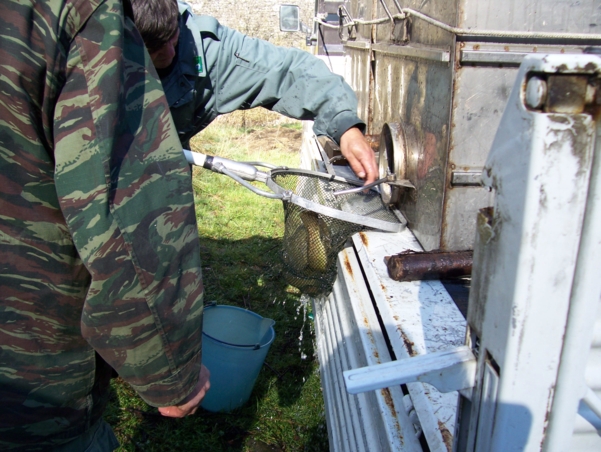  Image name: Pesca31.jpg 
 width: 601 pixel 
 height: 452 pixel 
 Size: 255429 bytes 
 Click to enlarge 