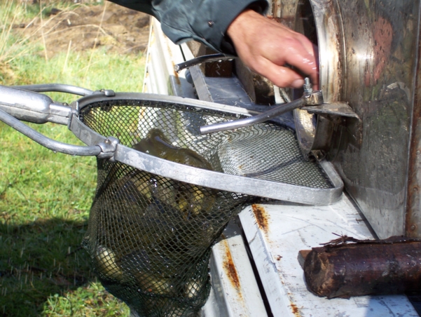  Image name: Pesca32.jpg 
 width: 601 pixel 
 height: 452 pixel 
 Size: 270028 bytes 
 Click to enlarge 