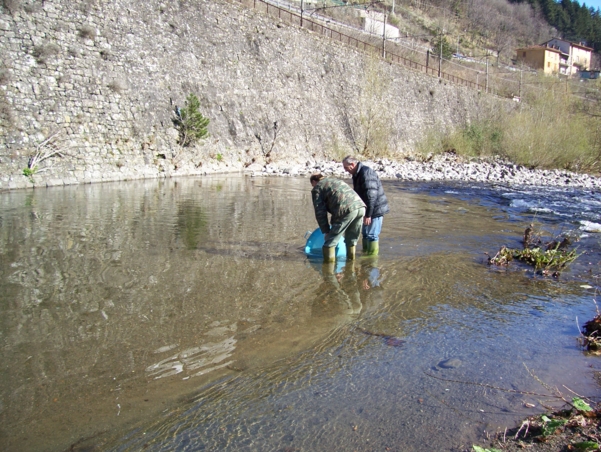  Image name: Pesca37.jpg 
 width: 601 pixel 
 height: 452 pixel 
 Size: 301439 bytes 
 Click to enlarge 