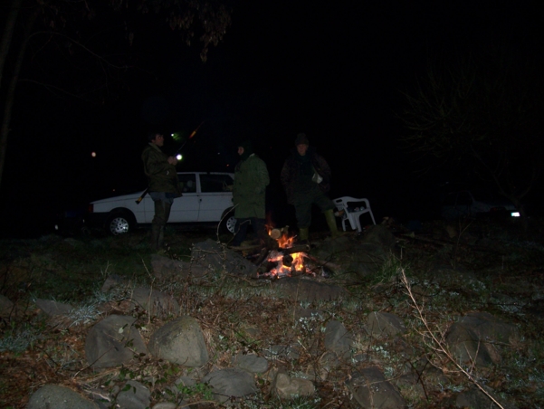  Image name: Pesca38.jpg 
 width: 601 pixel 
 height: 452 pixel 
 Size: 177568 bytes 
 Click to enlarge 