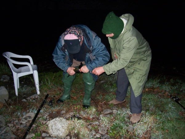  Image name: Pesca44.jpg 
 width: 601 pixel 
 height: 452 pixel 
 Size: 225810 bytes 
 Click to enlarge 