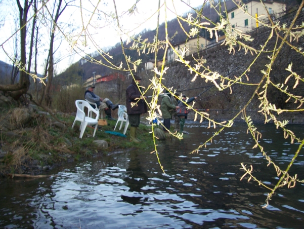  Image name: Pesca48.jpg 
 width: 601 pixel 
 height: 452 pixel 
 Size: 292181 bytes 
 Click to enlarge 