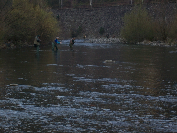  Image name: Pesca51.jpg 
 width: 601 pixel 
 height: 452 pixel 
 Size: 238804 bytes 
 Click to enlarge 