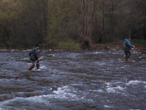  Image name: Pesca52.jpg 
 width: 601 pixel 
 height: 452 pixel 
 Size: 256461 bytes 
 Click to enlarge 