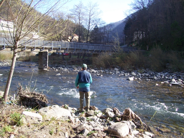  Image name: Pesca56.jpg 
 width: 601 pixel 
 height: 452 pixel 
 Size: 311582 bytes 
 Click to enlarge 