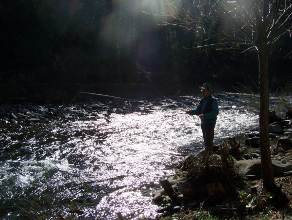  Image name: Pesca57.jpg 
 width: 601 pixel 
 height: 452 pixel 
 Size: 273670 bytes 
 Click to enlarge 