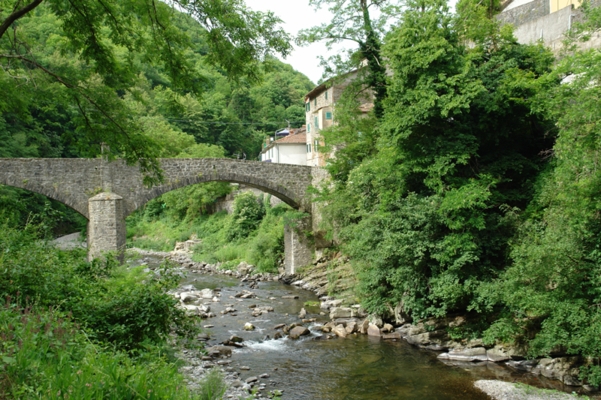  Image name: Pesca69.jpg 
 width: 601 pixel 
 height: 400 pixel 
 Size: 289423 bytes 
 Click to enlarge 