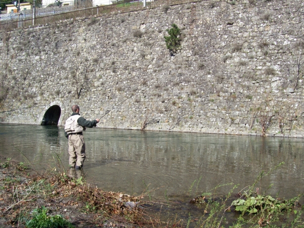  Image name: Pesca92.jpg 
 width: 601 pixel 
 height: 452 pixel 
 Size: 327087 bytes 
 Click to enlarge 