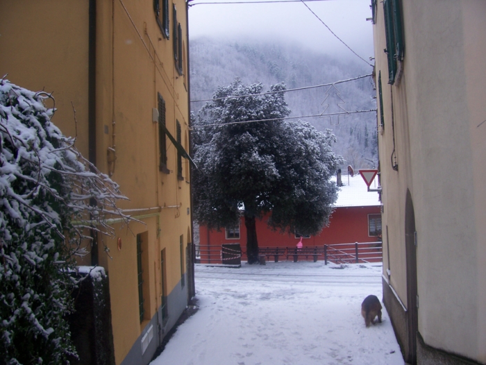  Image name: Case04.jpg 
 width: 700 pixel 
 height: 526 pixel 
 Size: 279887 bytes 
 Click to enlarge 