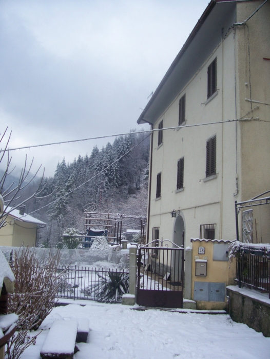  Image name: Case34.jpg 
 width: 526 pixel 
 height: 700 pixel 
 Size: 273542 bytes 
 Click to enlarge 