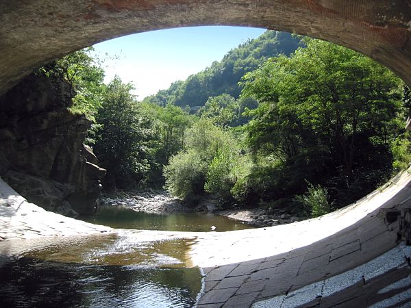  Image name: 04-biagioni.jpg 
 width: 600 pixel 
 height: 450 pixel 
 Size: 75424 bytes 
 Click to enlarge 