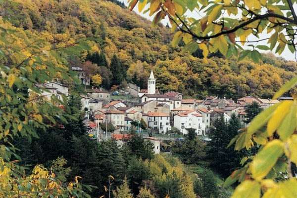  Image name: 12-lustrola.jpg 
 width: 600 pixel 
 height: 401 pixel 
 Size: 128004 bytes 
 Click to enlarge 