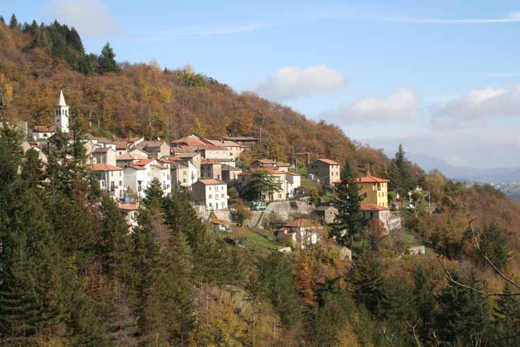  Image name: 01-lustrola.jpg 
 width: 750 pixel 
 height: 500 pixel 
 Size: 47196 bytes 
 Click to enlarge 