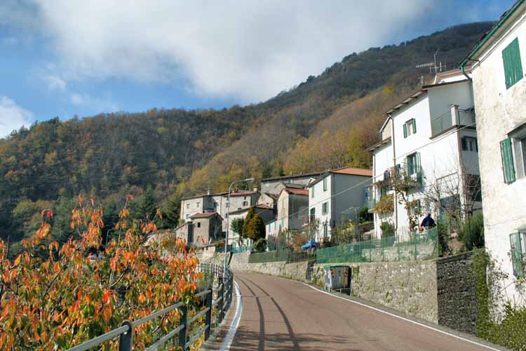  Image name: 03-lustrola.jpg 
 width: 750 pixel 
 height: 500 pixel 
 Size: 56498 bytes 
 Click to enlarge 