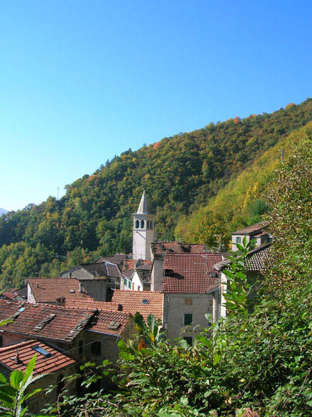  Image name: 04-lustrola.jpg 
 width: 449 pixel 
 height: 600 pixel 
 Size: 113235 bytes 
 Click to enlarge 