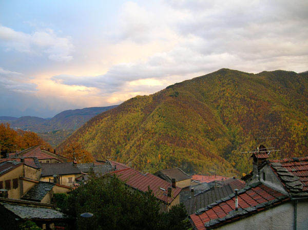  Image name: 06-lustrola.jpg 
 width: 600 pixel 
 height: 449 pixel 
 Size: 83158 bytes 
 Click to enlarge 