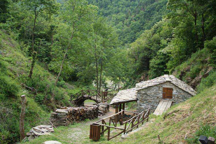  Image name: 10-orsigna.jpg 
 width: 750 pixel 
 height: 500 pixel 
 Size: 76722 bytes 
 Click to enlarge 