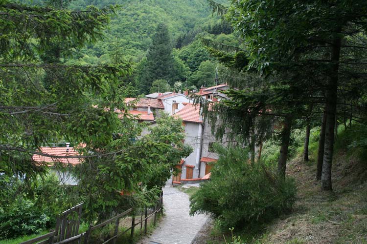  Image name: 01-orsigna.jpg 
 width: 750 pixel 
 height: 500 pixel 
 Size: 95705 bytes 
 Click to enlarge 