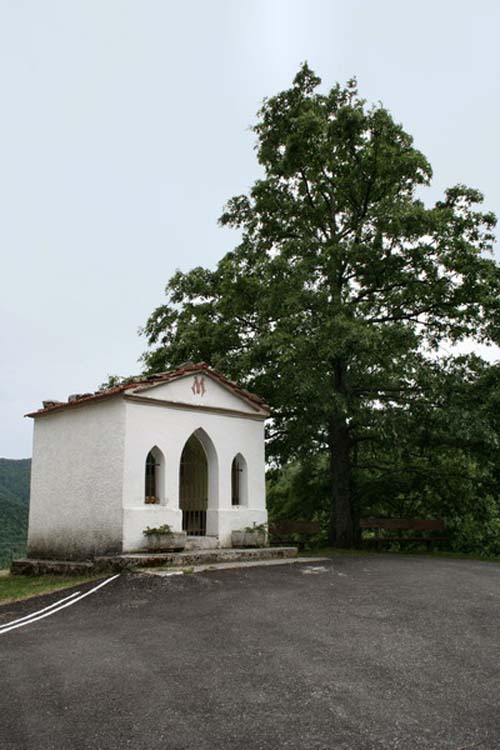  Image name: 2-orsigna.jpg 
 width: 500 pixel 
 height: 750 pixel 
 Size: 56451 bytes 
 Click to enlarge 