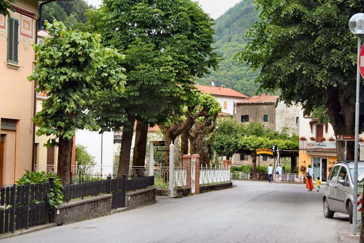  Image name: 03-pracchia.jpg 
 width: 750 pixel 
 height: 500 pixel 
 Size: 96983 bytes 
 Click to enlarge 