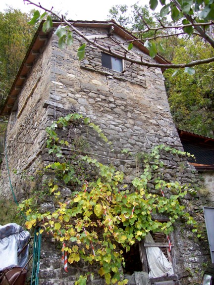  Image name: 100_0349.JPG 
 width: 432 pixel 
 height: 576 pixel 
 Size: 128013 bytes 
 Click to enlarge 