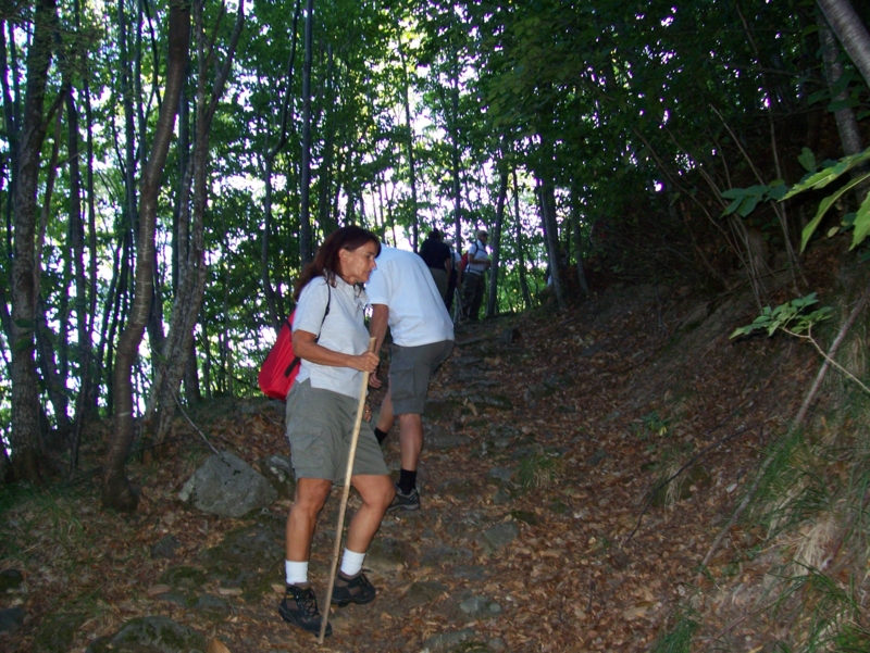  Image name: Frassignoni001.jpg 
 width: 800 pixel 
 height: 601 pixel 
 Size: 518899 bytes 
 Click to enlarge 