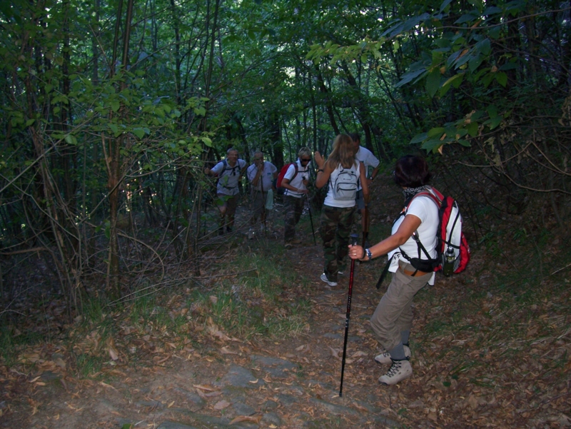  Image name: Frassignoni004.jpg 
 width: 800 pixel 
 height: 601 pixel 
 Size: 478451 bytes 
 Click to enlarge 