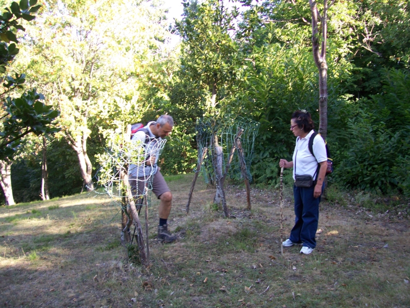  Image name: Frassignoni005.jpg 
 width: 800 pixel 
 height: 601 pixel 
 Size: 561634 bytes 
 Click to enlarge 