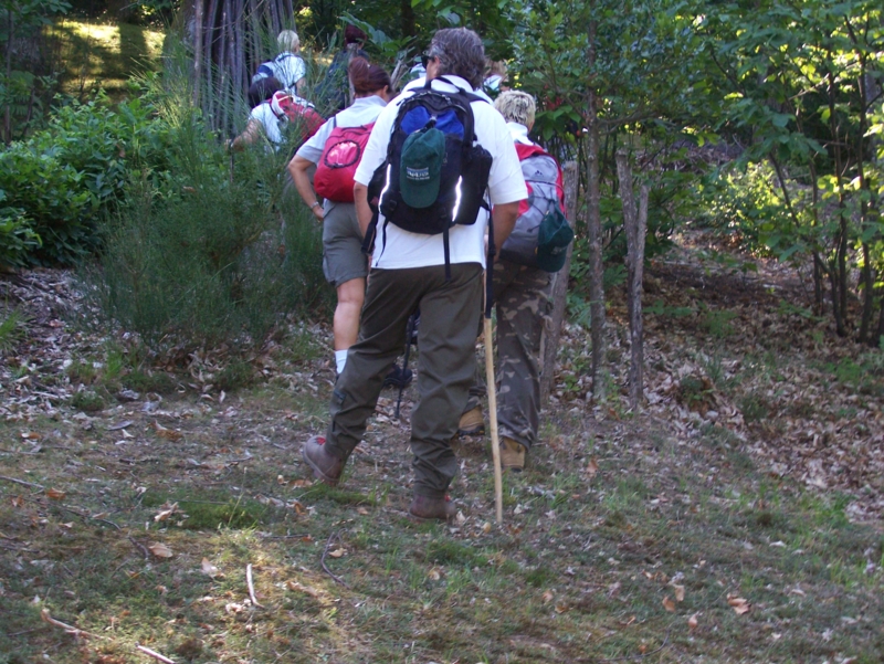  Image name: Frassignoni006.jpg 
 width: 800 pixel 
 height: 601 pixel 
 Size: 510068 bytes 
 Click to enlarge 