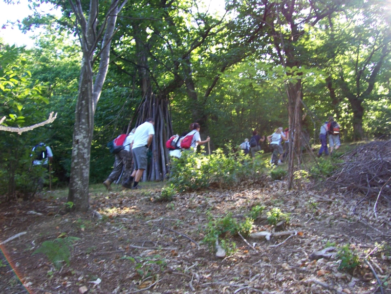  Image name: Frassignoni007.jpg 
 width: 800 pixel 
 height: 601 pixel 
 Size: 540086 bytes 
 Click to enlarge 