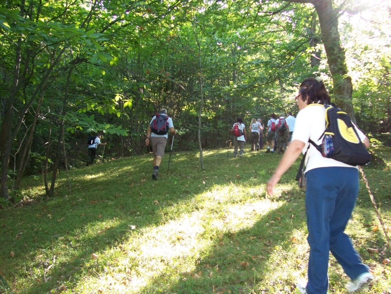  Image name: Frassignoni008.jpg 
 width: 800 pixel 
 height: 601 pixel 
 Size: 566368 bytes 
 Click to enlarge 